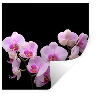 MuchoWow Wandsticker Orchidee - Blumen - Rosa - Flora (1 St), Wandaufkleber, Wandtattoo, Selbstklebend, Wohnzimmer, Schlafzimmer bunt 80 cm x 80 cm x 0.1 cm