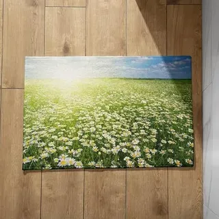 EHOMERY Schmutzfangmatte XXL Türmatten Haustür Innen Blume Schmutzfangmatte Nass Schmale Türmatte Für Außen 40x60cm, rutschfeste Dekorative Fußmatte Aus Plüschbaumwolle