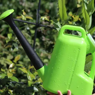 WOOXGEHM 3L Gießkanne, Sprühdose für Pflanzen Im Innen und Außenbereich, Kunststoff Gießkanne mit Deckel, Lange Sprühdose für Zimmer Bonsai Pflanzen, Gartenblumen(Blau)
