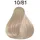 10/81 hell-lichtblond perl-asch 75 ml
