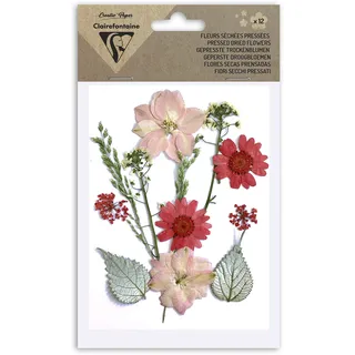 Clairefontaine 195593C- Packung mit 12 gepressten Trockenblumen, Rot, 1 Pack