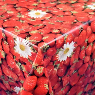 KEVKUS Wachstuch Tischdecke Meterware 01156-00 Erdbeeren Fotodruck rot wählbar in eckig rund oval (Umrandung: gehäkelte Bordüre, 90 x 240 cm eckig (Biertisch XL))