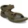 Olive 44,5