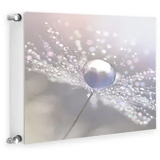 Magnet Heizkörperverkleidung Heizkörperabdeckung 60 x 60cm Blume