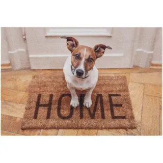 Astra Sauberlaufmatte 'Deco Print' 40 x 60 cm Hund Home braun