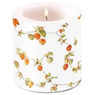 Ambiente Kerze Stumpenkerze Lampionkerze 9 cm hoch Lampionpflanze Herbst Physalis