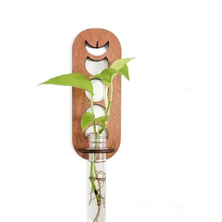 Rundes hohles geschnitztes hängendes Holzregal, Pflanze Hängendes Holzregal Vase, Hängende Propagation Station Wandvase Reagenzglas Für Innendekoration Wanddekoration Wohnzimmer (Ellipsen)