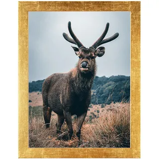 Rahmendesign24 Posterrahmen Milano 42x59,4 (DIN A2) Blattgold Gold Fotorahmen, Wechselrahmen, Bilderrahmen, Puzzlerahmen