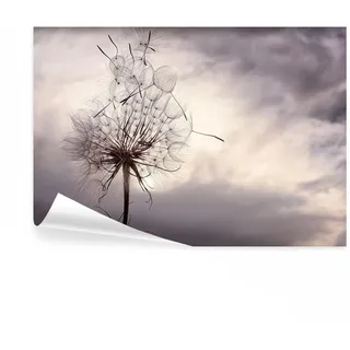 decomonkey Premium Fototapete Pusteblume Natur, 350x256 cm, Blumen, Himmel | Löwenzahn, Pflanzen, Vlies, Schlafzimmer, Wohnzimmer, Tapete, Fototapeten, Tapeten, Vliestapete, Wandtapete, moderne, Wand