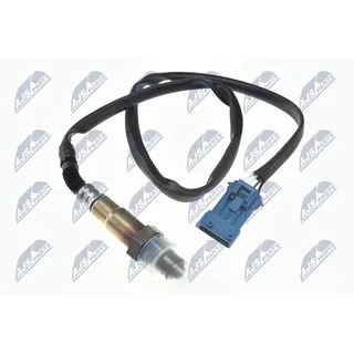 NTY ESL-CT-000