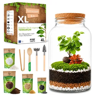 PYEF CRAFTS Flaschengarten Komplettset XL für Ökosystem im Glas - 4L Terrarium Pflanzen für Biotop Im Glas - Biosphäre Terrarium Set - Kit Ohne Pflanze (Flaschengarten Groß 4L)