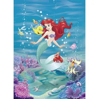KOMAR Fototapete Ariel Singing 184 cm x 254 cm