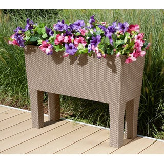 Prosperplast Rato Case High 80 x 33 x 62 cm mocca