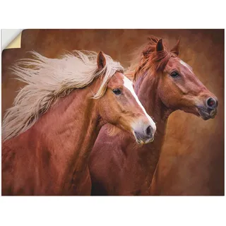 Wandbild ARTLAND "Reinrassige Pferde I" Bilder Gr. B/H: 120 cm x 90 cm, Wandaufkleber - Vinyl Haustiere Querformat, 1 St., braun Kunstdrucke