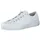 white 43