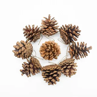 TRIXES 9-TLG. Hängende Tannenzapfen Weihnachtsbaumdeko | Natürliche Tannenzapfen Anhänger für Kugeln, Kränze & Basteln