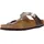 graceful taupe 37