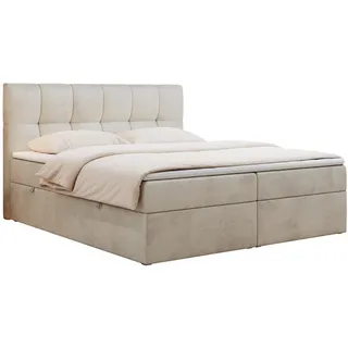 MKS Boxspringbett 160 x 200 cm H3 Beige