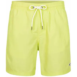 O'NEILL Vert Swim 16" Herren-Badehose, 12014 Sunny Lime, Regular