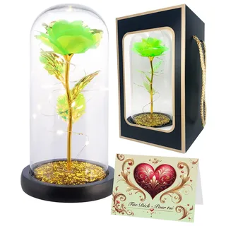 Lunartec schöne-Blume: Ewige Rose unter Glas mit LED-Licht, grün, 21,5 cm, in Geschenktasche (Geburtstag)