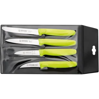 Giesser Allzweckmesser Set 4-teilig - Grifffarbe hellgrün - Messerset Küchenmesser zum Schneiden und Schälen von Obst & Gemüse