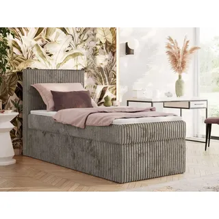 MKS Tiliano 90 x 200 cm H4 Hellbraun