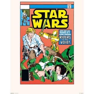 Grupo Erik Print Poster, Star Wars 38 Riders in the Void, 40 x 40