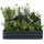 Hochbeet 120 x 50 x 90 Anthrazit