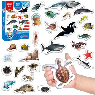 Kühlschrankmagnete für Kinder - Große Meerestiere Magnete für Babys 30 PCS - Realistische Ozean Tiermagnete - Montessori Lernspielzeug für Vorschulkinder & Kindergarten - Geschenk für Kinder - Magdum
