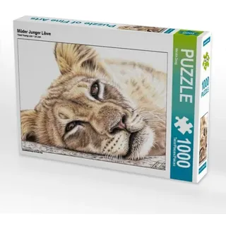 CALVENDO Puzzle Müder Junger Löwe 1000 Teile Lege-Größe 64x48cm Foto-Puzzle für glückliche Stunden