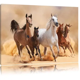 Pixxprint Western Pferde in Wüste mit Fohlen, Größe: 60x40cm, Leinwandbild, fertig gespannt, Wandbild, Dekoration, Kunstdruck, kein Poster