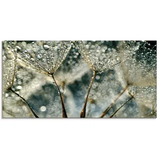 Glasbild ARTLAND "Pusteblume Regenschauer", grau (farbe bild(er): grau), B:100cm H:50cm, Bilder, in verschiedenen Größen