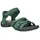 silver pine 38
