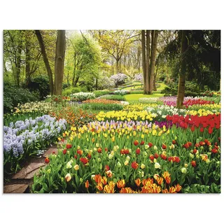 ARTland Wanddeko Glasbilder Wandbild Glas Bild einteilig 80x60 cm Querformat Blumenwiese Tulpen Blumen Frühling Natur Garten Wald Bunt U1RC