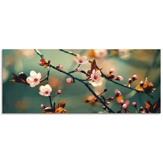 ARTLAND Glasbilder Wandbild Glas Bild einteilig 125x50 cm Querformat Natur Botanik Blumen Blüten Japan Kirschblüte Asien Zweig Frühling T5VP
