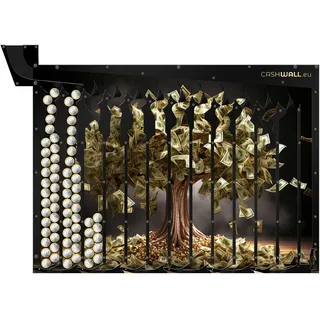 Cashwall - Spardose Erwachsene für ganze Jahr - 730 € Spare - 2 Euro - Wandspardose 365 Tage | Münzen Spardose Nicht zum öffnen - Auszahlung bei vollständiger Füllung | Zum Aufhängen