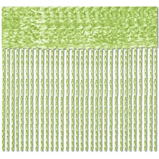 BestLivings Fadenvorhang Stangendurchzug 90 x 240 cm Mint