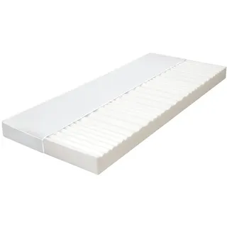 vidaXL 7-Zonen Kaltschaum 100 x 200 cm H2/H3