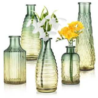 Joeyan 5er Set Kleine Vase Bunt für Tischdeko Vintage, Grün-Gold Farbverlauf Glasvasen, Mini Geprägte Tulpenvase, Blumenvase für Einzelne Rose, Hochzeit,Party,Wohnzimmer Dekor Knospenvase Geschenk