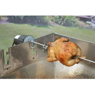 Elektro-Grillmotor