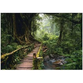 WallArena Fototapete Wald 3D Effekt Natur Wohnzimmer 150x105