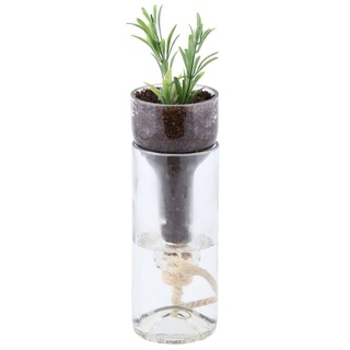 Rivanto Blumentopf (Set, 2 St), 2 Stück Selbstbewässernder Pflanztopf Glas, 2-tlg Ø7,5x21cm Blumentopf