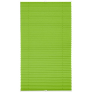 Lichtblick Plissee Klemmfix, ohne Bohren, verspannt (65x130 cm, grün)