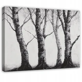 Leinwandbild Wald Und Bäume In Schwarz-weiß, Natur Wanddeko Für Schlafzimmer, Wohnzimmer Und Küche, Hochauflösender Druck, 60 X 40 Cm