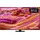 GQ55QN90F 55" Neo QLED 4K Vision AI Smart TV QN90F