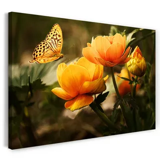 Printed Paintings Leinwand (120x80cm): Blumenbilder Schmetterling auf gelb-orangen Blumen