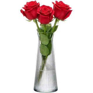 KONZEPT Glasvase 25cm Hoch, Blumenvase modern, Vase rillen, klein, Deco für Pampasgras, Tulpen und Trockenblumen