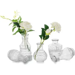 Famanu Glasvase Set - 5 Stück Vintage Mini Vasen - Klar