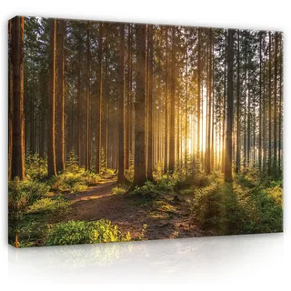WallArena- Leinwand Bilder - Wald - 80x60 cm Leinwandbilder - Bild auf leinwand - Wandbild XXL groß Wandbilder für Wohnzimmer Schlafzimmer Wohnzimmerbilder Modern kunstdruck - Natur