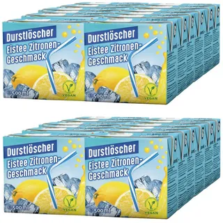 Säfte-Sirup Durstlöscher Eistee Zitrone Fruchtsaftgetränk 500ml 24er Pack